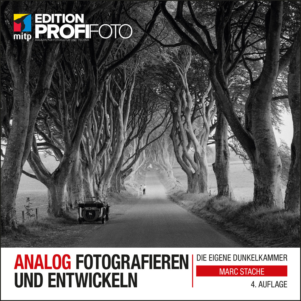 Analog Fotografieren und Entwickeln: Die eigene Dunkelkammer