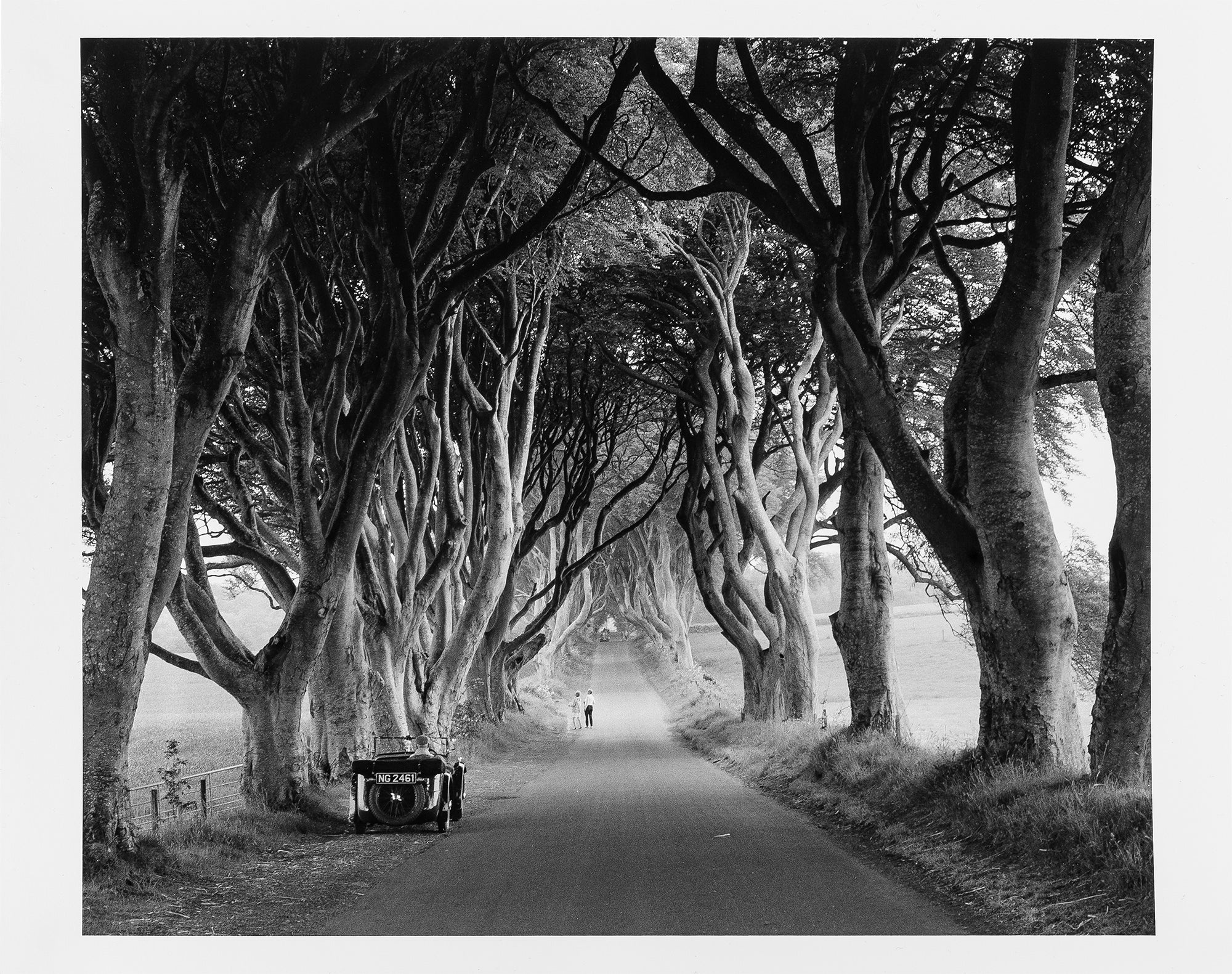 Ilford Multigrade FB Classic 1K (glänzend) Rolle 106,7cm x 30m