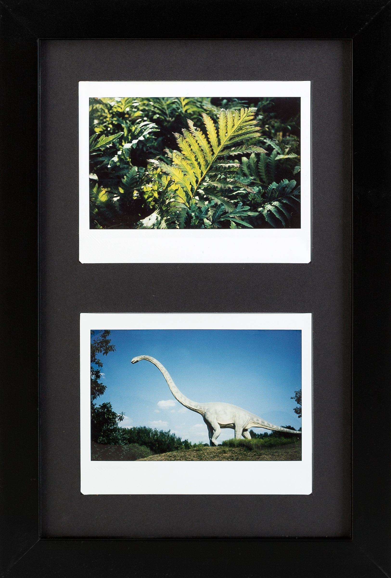 Fuji Instax Wide Bilderrahmen (schwarz/schwarz)