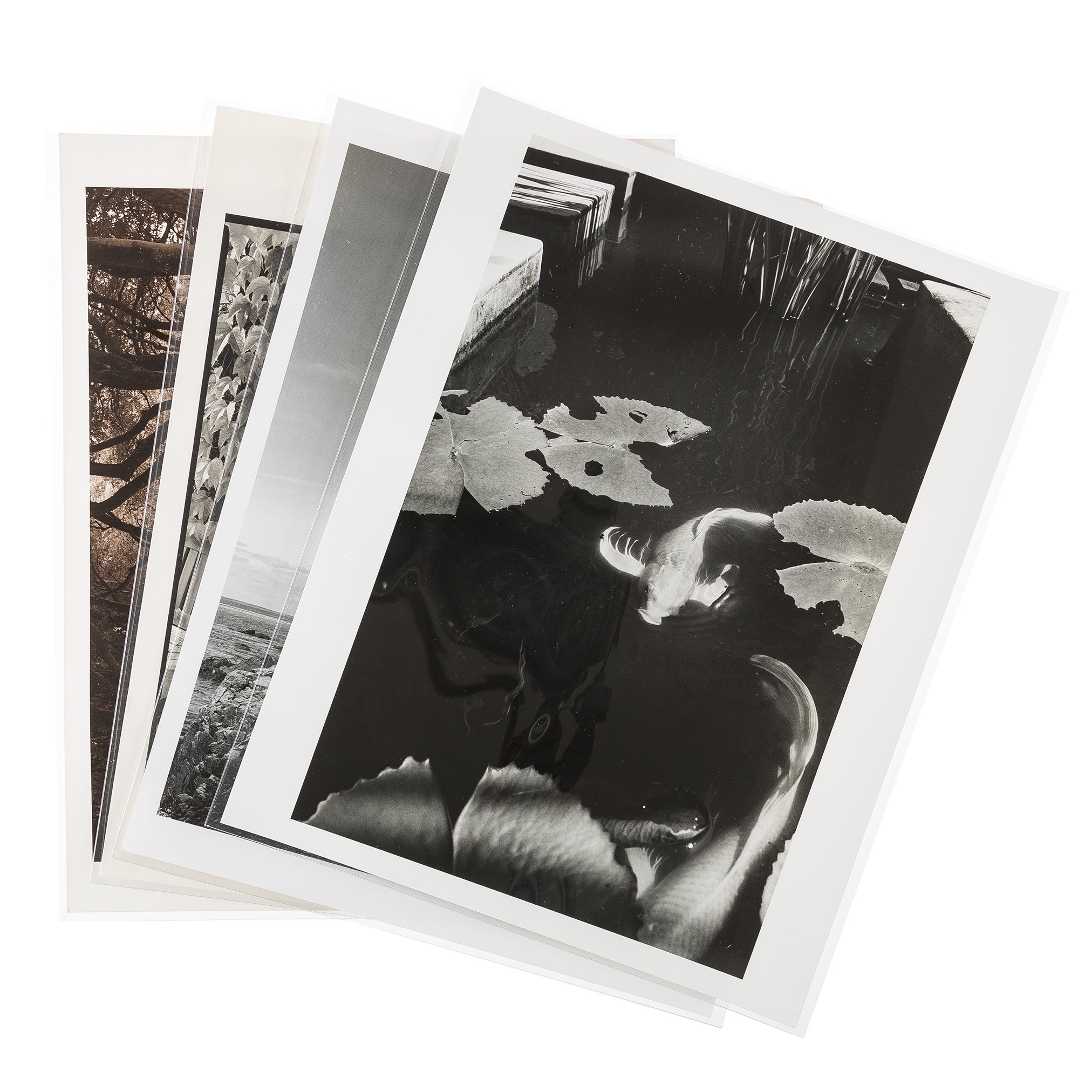 Pochettes de protection en polyester pour archives (10 pièces)