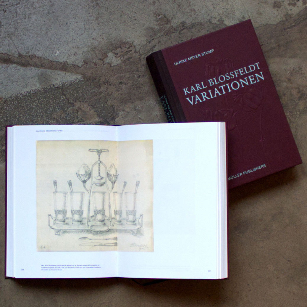 Karl Blossfeldt: Variations