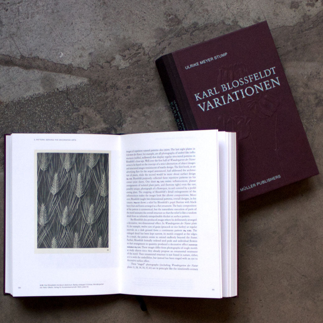 Karl Blossfeldt: Variations