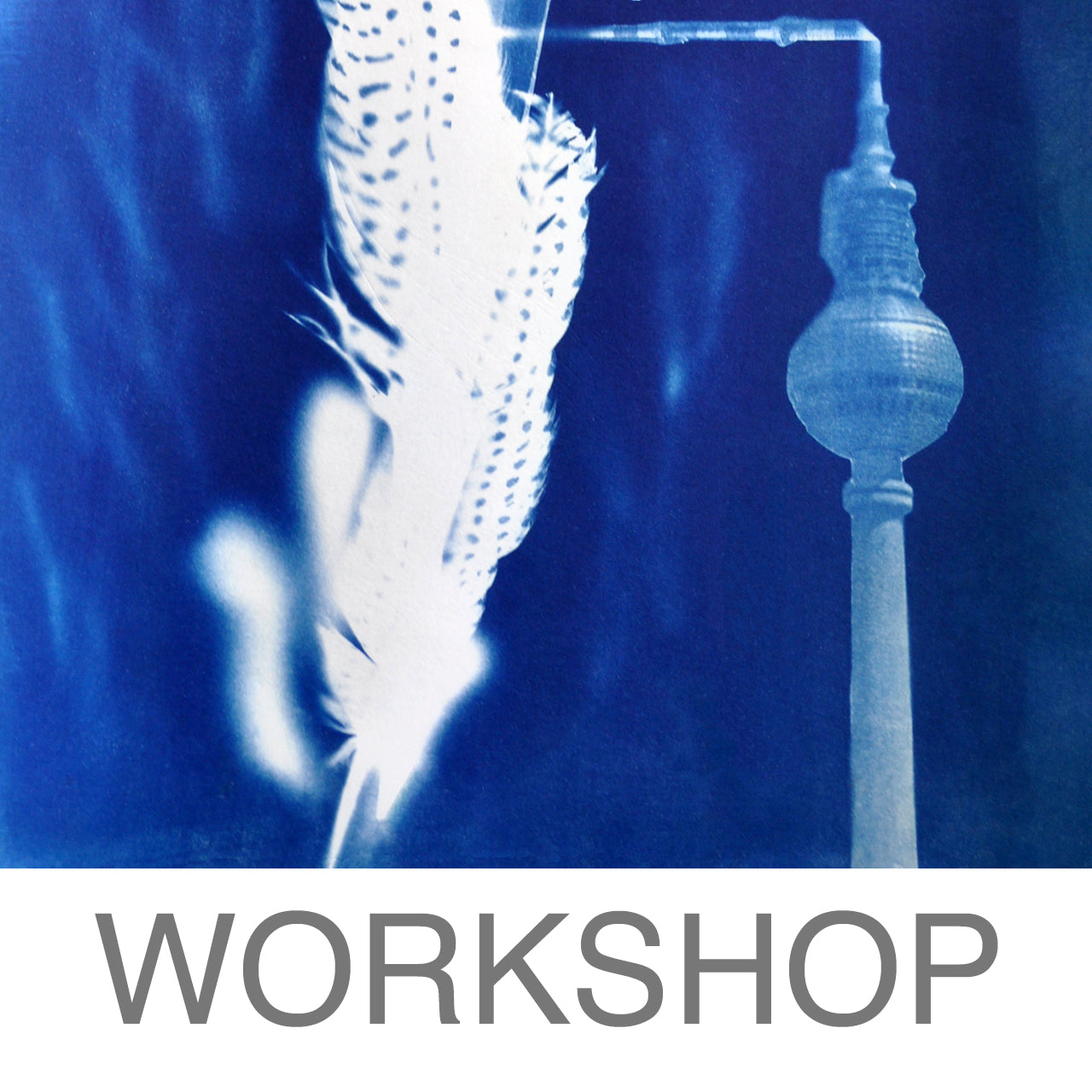Atelier - Cours pour débutants sur le cyanotype (Kirsten Heuschen)