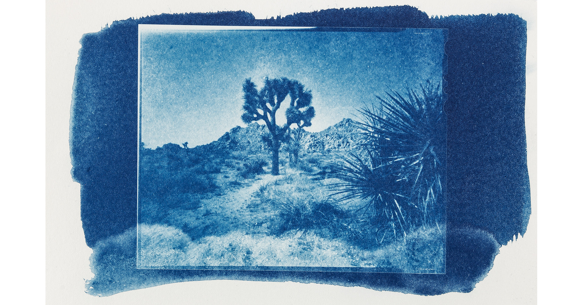 Atelier de laboratoire photo - cyanotype (Marc Stache - NRW)