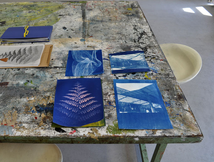 Atelier - Cours pour débutants sur le cyanotype (Kirsten Heuschen)
