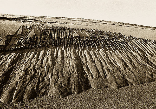 Kazimieras Mizgiris Vent + Sable. Isthme de Courlande 