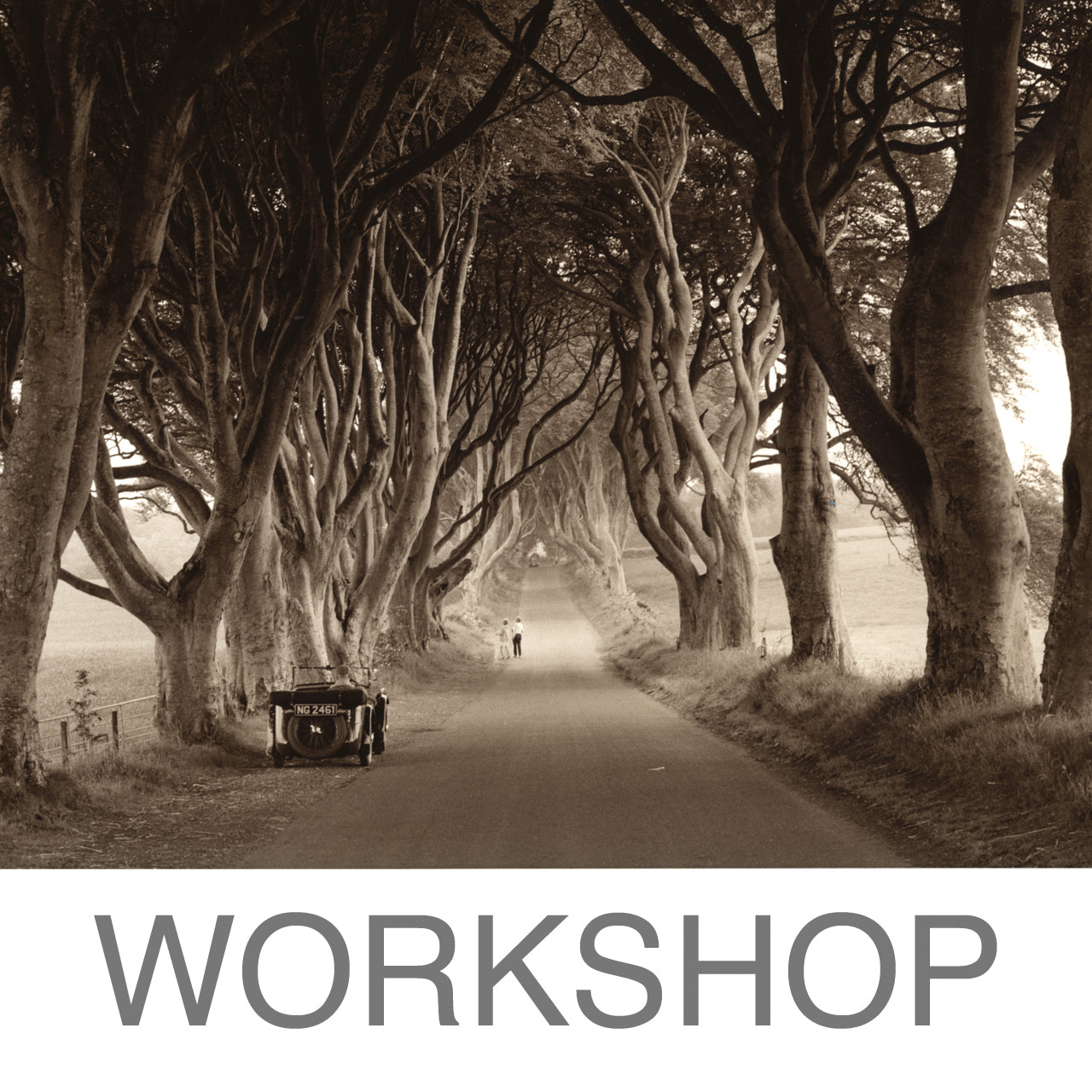Workshop - Splitgrade / Dodge &amp; Burn / Sepia Toning (Leipzig)