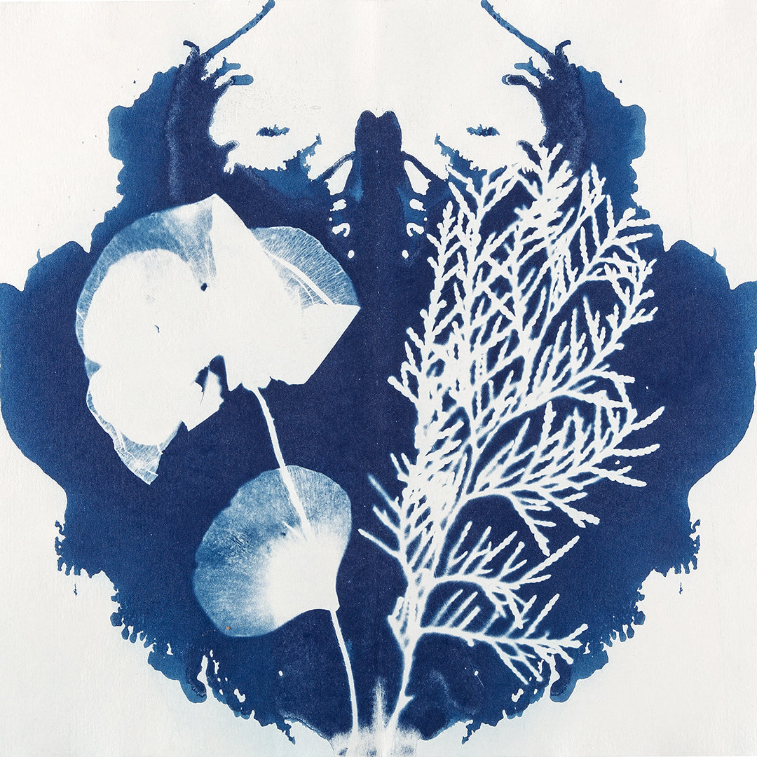 Atelier - Cyanotype (Kalletal NRW)